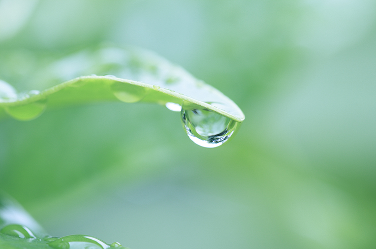 総合環境計測技術(土壌・水質)で水との共存を図る